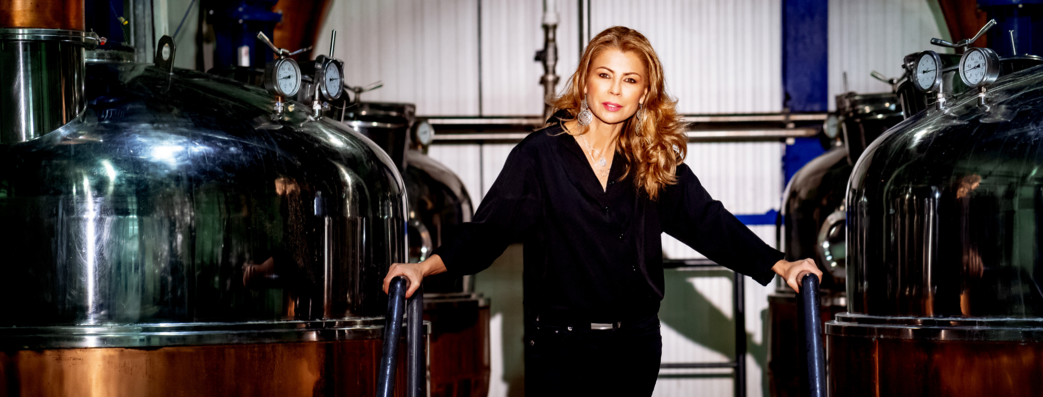 Laura Dragomir LinkedIn